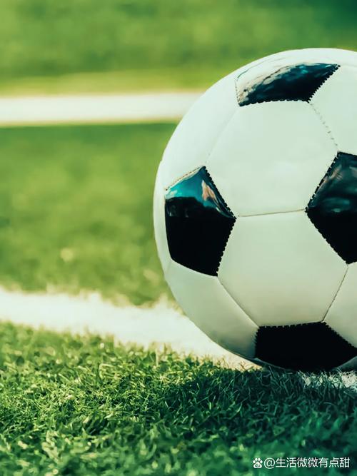 足球初学者通过数据分析学习赛事知识